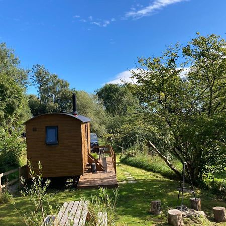 Herdwick Shepherd Hut Exeter Dış mekan fotoğraf