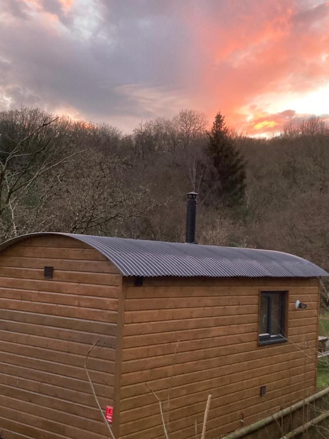 Herdwick Shepherd Hut Exeter Dış mekan fotoğraf